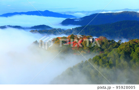 【岡山県】天空の城 紅葉の備中松山城 【岡山県】天空の城 紅葉の備中松山城 95928005