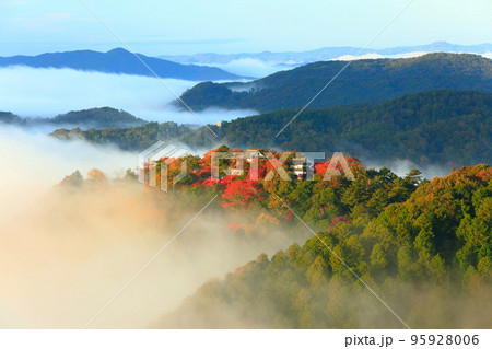 【岡山県】天空の城 紅葉の備中松山城 【岡山県】天空の城 紅葉の備中松山城 95928006