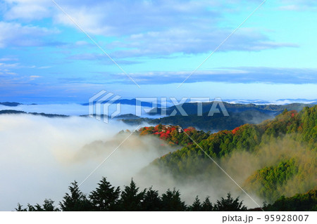 【岡山県】天空の城 紅葉の備中松山城 【岡山県】天空の城 紅葉の備中松山城 95928007