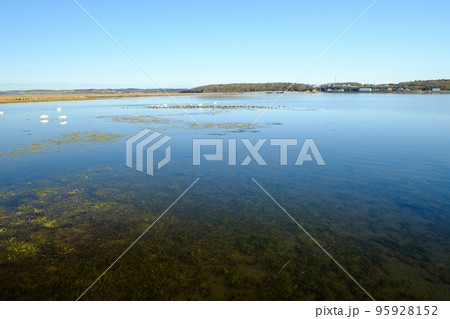 秋晴れの春国岱 95928152