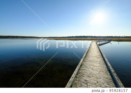 秋晴れの春国岱 95928157