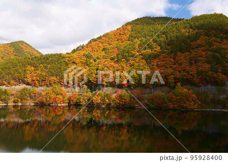 瑞牆湖畔の紅葉 瑞牆湖畔の紅葉 95928400