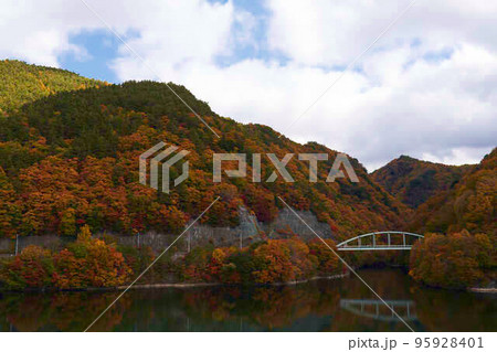 瑞牆湖畔の紅葉 95928401