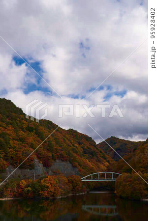 瑞牆湖畔の紅葉 瑞牆湖畔の紅葉 95928402