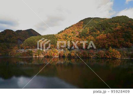 瑞牆湖畔の紅葉 瑞牆湖畔の紅葉 95928409