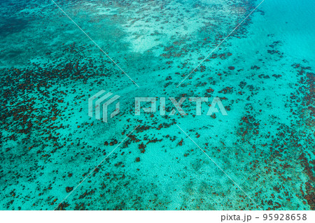 Aerial view of Laem Tong Beach or Laemtong bay in koh Phi Phi, Krabi, Thailand 95928658