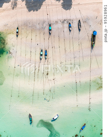 Aerial view of Laem Tong Beach or Laemtong bay in koh Phi Phi, Krabi, Thailand Aerial view of Laem Tong Beach or Laemtong bay in koh Phi Phi, Krabi, Thailand 95928961