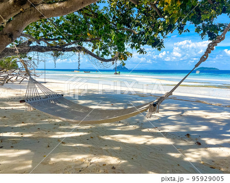 Laem Tong Beach or Laemtong bay in koh Phi Phi, Krabi, Thailand Laem Tong Beach or Laemtong bay in koh Phi Phi, Krabi, Thailand 95929005