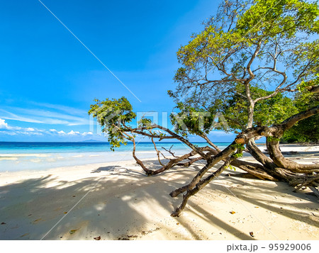 Laem Tong Beach or Laemtong bay in koh Phi Phi, Krabi, Thailand 95929006