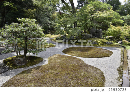 三宝院　本堂前　醍醐寺 95930723