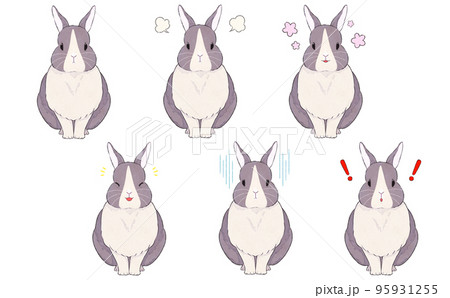 灰色ダッチうさぎの表情イラストセット 95931255