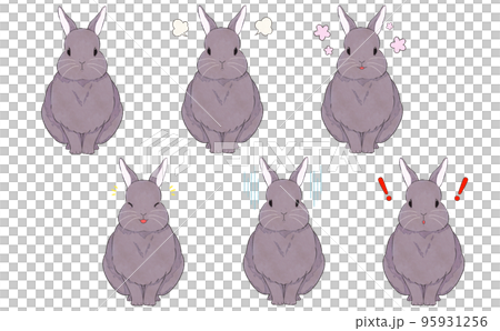 Gray rabbit facial expression illustration set 95931256