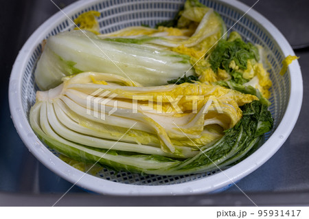 家で白菜キムチをつけようとしているところ 家で白菜キムチをつけようとしているところ 95931417