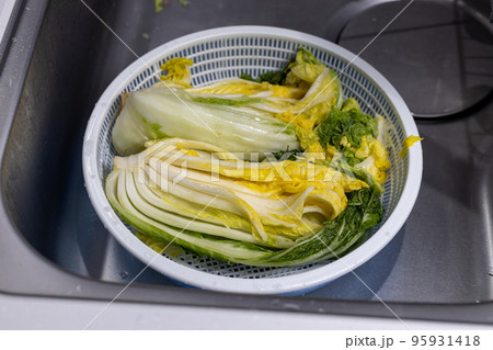 家で白菜キムチをつけようとしているところ 家で白菜キムチをつけようとしているところ 95931418