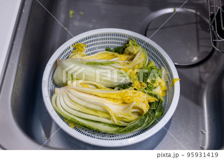 家で白菜キムチをつけようとしているところ 家で白菜キムチをつけようとしているところ 95931419