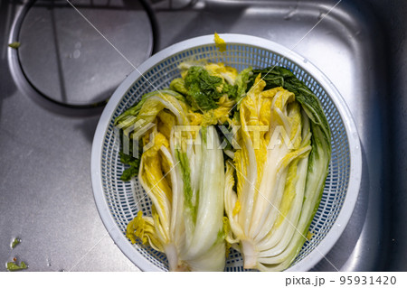 家で白菜キムチをつけようとしているところ 家で白菜キムチをつけようとしているところ 95931420