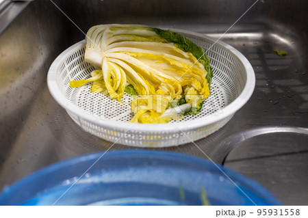 家で白菜キムチをつけようとしているところ 家で白菜キムチをつけようとしているところ 95931558