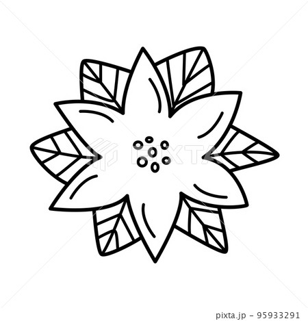 Poinsettia flower icon, cartoon vector illustration of doodle style. Isolated on white 95933291
