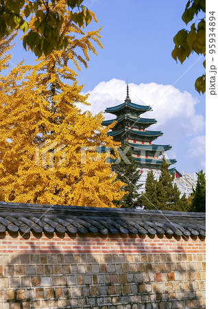 風景 韓国 故宮 95934894