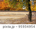 風景 韓国 故宮 95934954