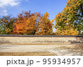 風景 韓国 故宮 95934957