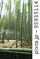晴天の竹林 95935114