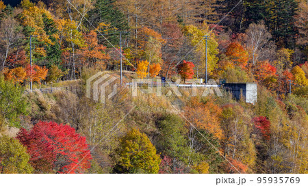 【山梨県】鳥居峠広場の紅葉 ※自然風景 【山梨県】鳥居峠広場の紅葉 ※自然風景 95935769