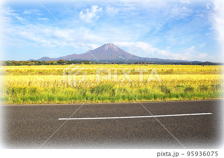 収穫期を迎えた黄金色の稲穂と大山の風景（イラスト風） 95936075