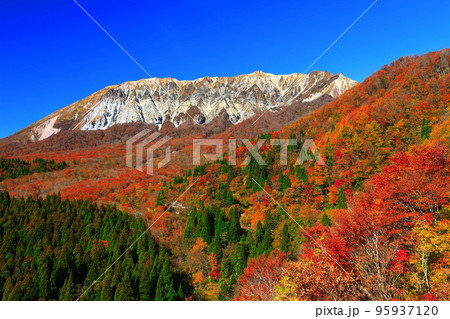 【鳥取県】快晴の鍵掛峠から見た紅葉の大山 95937120