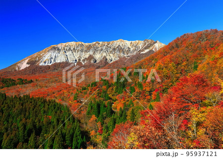 【鳥取県】快晴の鍵掛峠から見た紅葉の大山 95937121