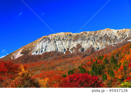 【鳥取県】快晴の鍵掛峠から見た紅葉の大山 【鳥取県】快晴の鍵掛峠から見た紅葉の大山 95937126