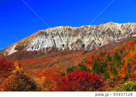 【鳥取県】快晴の鍵掛峠から見た紅葉の大山 95937128