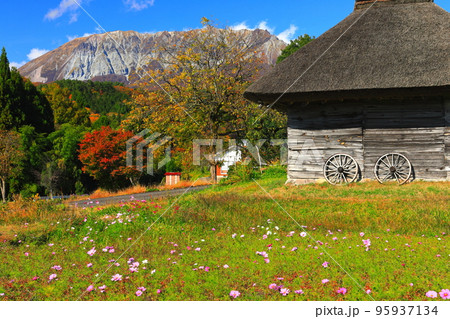 【鳥取県】紅葉の大山と御机の茅葺小屋 95937134