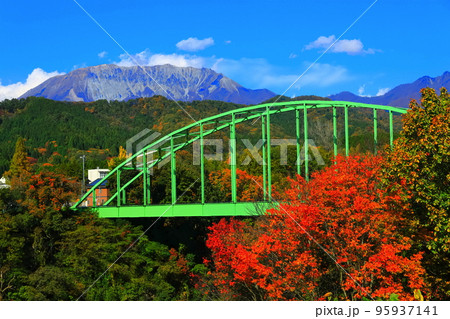 【鳥取県】紅葉の南大山大橋と大山(奥大山) 【鳥取県】紅葉の南大山大橋と大山(奥大山) 95937141
