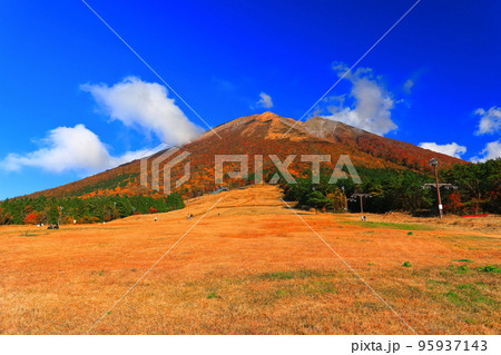 【鳥取県】快晴の桝水高原から見た紅葉の大山 【鳥取県】快晴の桝水高原から見た紅葉の大山 95937143
