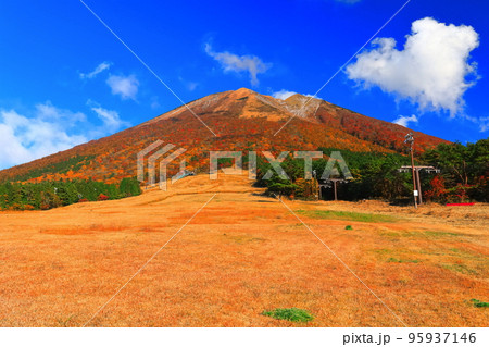 【鳥取県】快晴の桝水高原から見た紅葉の大山 95937146