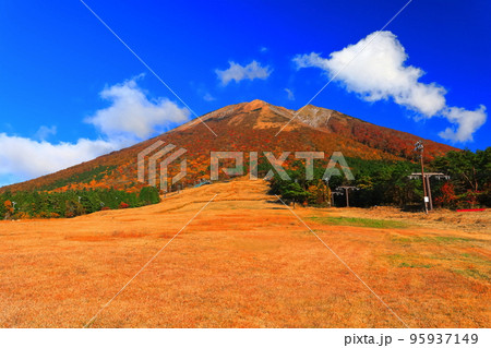 【鳥取県】快晴の桝水高原から見た紅葉の大山 95937149