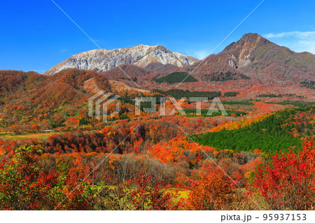 【鳥取県】快晴の鬼女台展望台から見た紅葉の大山 95937153