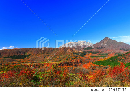 【鳥取県】快晴の鬼女台展望台から見た紅葉の大山 【鳥取県】快晴の鬼女台展望台から見た紅葉の大山 95937155
