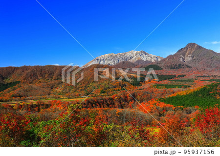 【鳥取県】快晴の鬼女台展望台から見た紅葉の大山 【鳥取県】快晴の鬼女台展望台から見た紅葉の大山 95937156