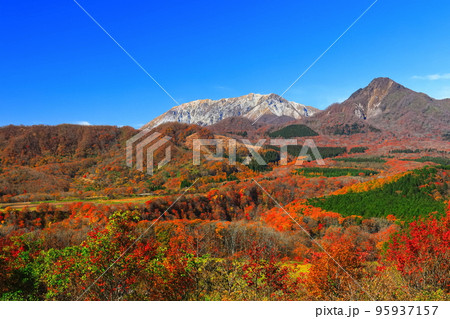 【鳥取県】快晴の鬼女台展望台から見た紅葉の大山 【鳥取県】快晴の鬼女台展望台から見た紅葉の大山 95937157