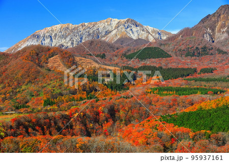 【鳥取県】快晴の鬼女台展望台から見た紅葉の大山 【鳥取県】快晴の鬼女台展望台から見た紅葉の大山 95937161