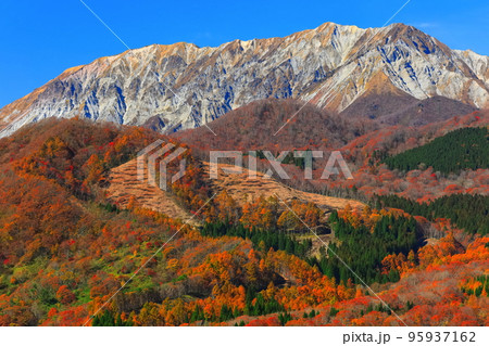 【鳥取県】快晴の鬼女台展望台から見た紅葉の大山 95937162