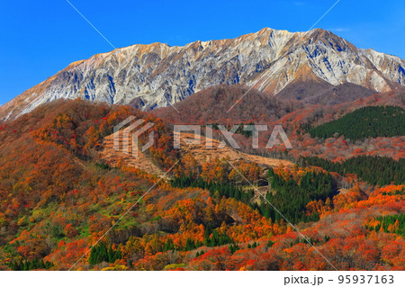 【鳥取県】快晴の鬼女台展望台から見た紅葉の大山 95937163