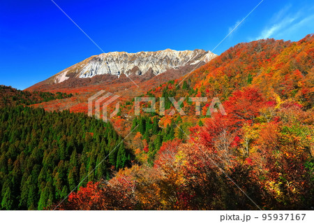 【鳥取県】快晴の鍵掛峠から見た紅葉の大山 95937167