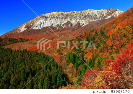 【鳥取県】快晴の鍵掛峠から見た紅葉の大山 95937170