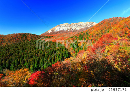 【鳥取県】快晴の鍵掛峠から見た紅葉の大山 【鳥取県】快晴の鍵掛峠から見た紅葉の大山 95937171