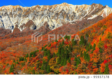 【鳥取県】快晴の鍵掛峠から見た紅葉の大山 95937178