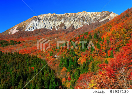 【鳥取県】快晴の鍵掛峠から見た紅葉の大山 【鳥取県】快晴の鍵掛峠から見た紅葉の大山 95937180