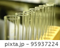 たくさん並んだ試験管 95937224